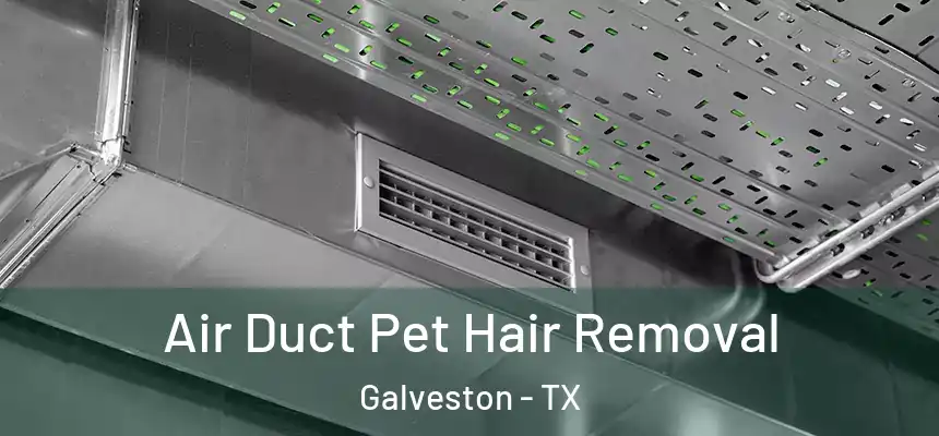  Air Duct Pet Hair Removal Galveston - TX
