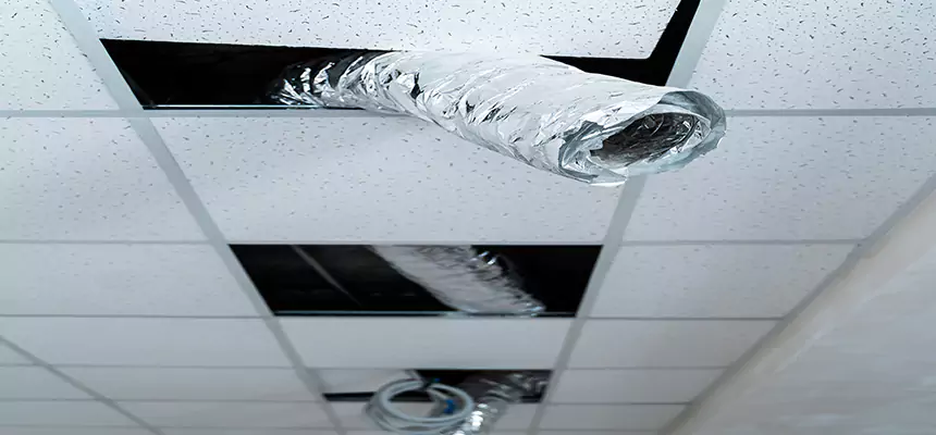 Affordable HVAC Sanitizing After Pest Removal in Galveston