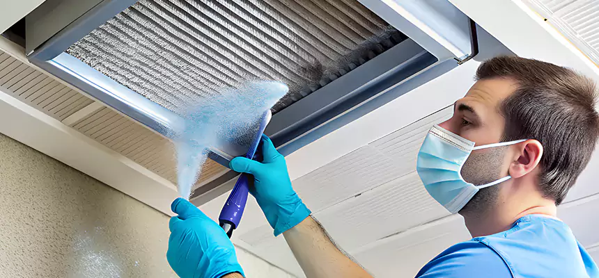 Proactive Dryer Vent & Auxiliary Duct Pollen Cleanup in Galveston, TX
