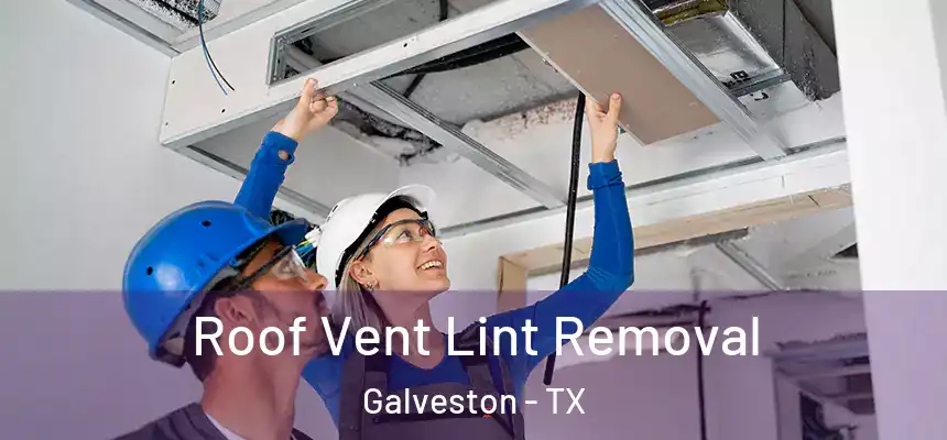  Roof Vent Lint Removal Galveston - TX