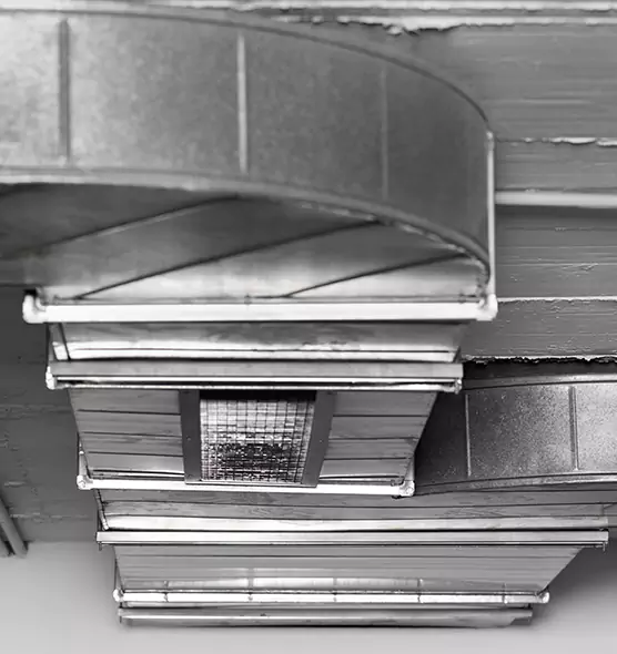 Professional Air Duct Pet Hair Removal in Galveston, TX