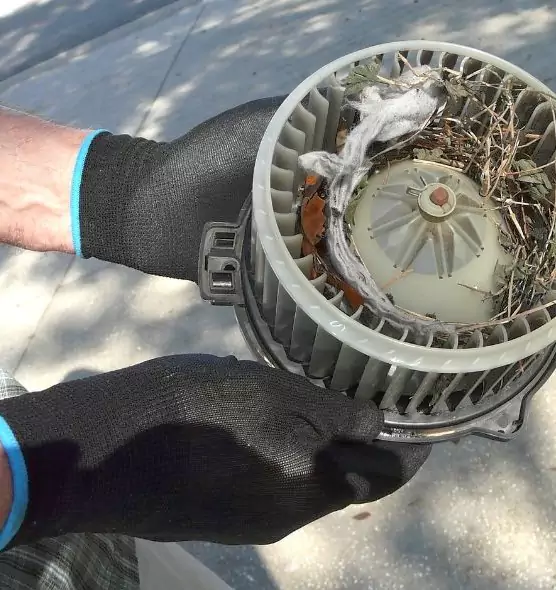 About Air Duct Rat Removal in Galveston, TX