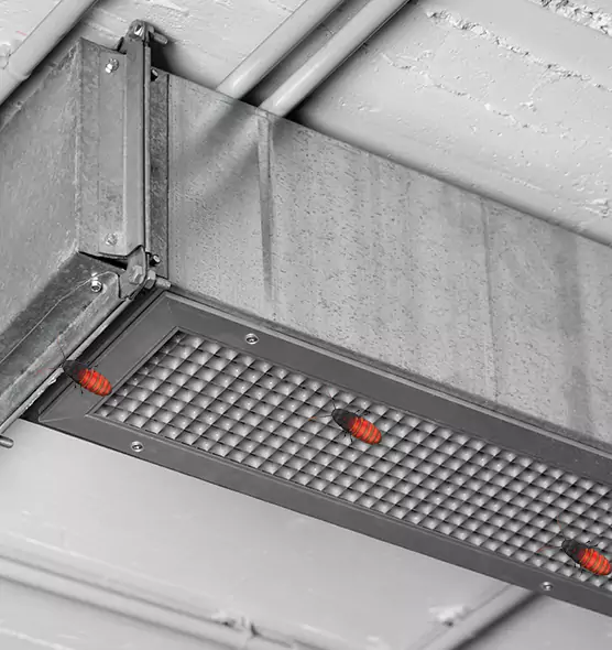 Affordable Insect Removal from Air Ducts in Galveston, TX